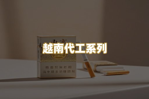 越南代工系列